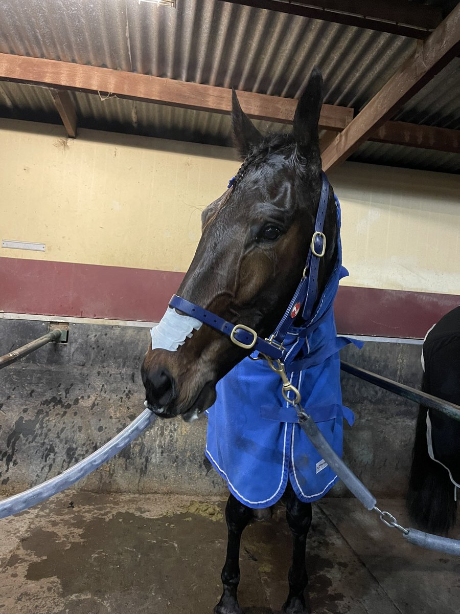 Captain Barnato scores his first win at Kilmore tonight! 🥇

Congratulations to connections! 👏