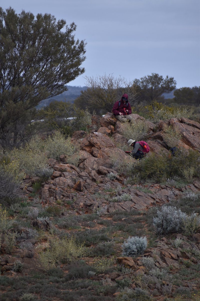 Joe يوسف Ibrahim tweet media