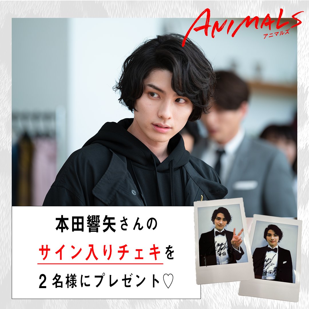 airimania #ANIMALS -#アニマルズ - 💄🐯 ⳹ #本田響矢