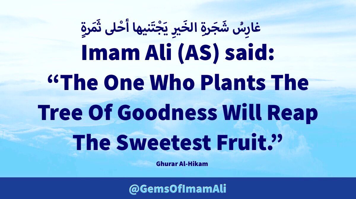 GemsOfImamAli's tweet photo. #ImamAli (AS) said:

“The One Who Plants 
The Tree Of Goodness 
Will Reap The Sweetest 
Fruit.”

#YaAli #HazratAli 
#MaulaAli #AhlulBayt https://t.co/Kn8U8DIfDL