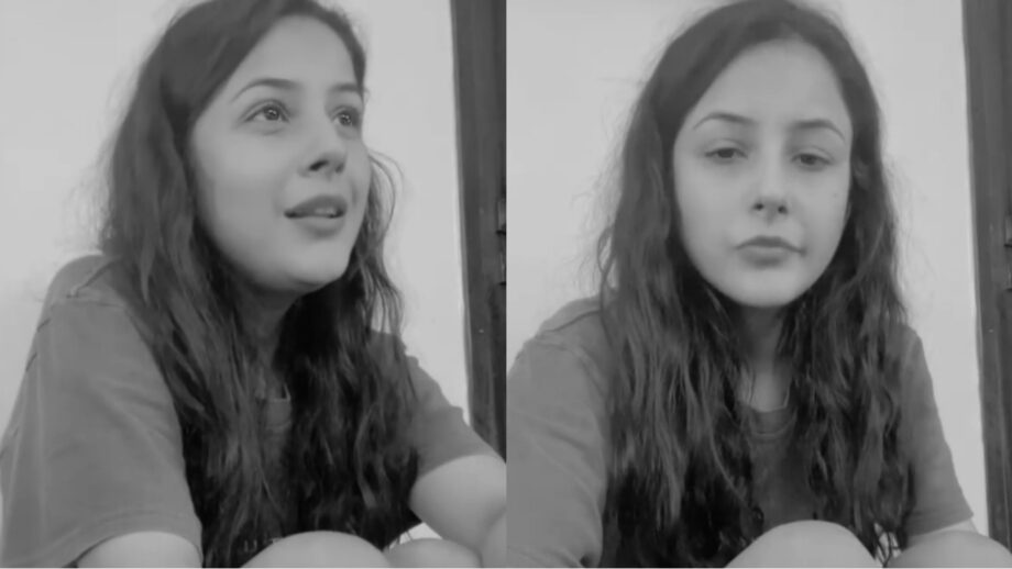 newsmanoranjan_'s tweet image. [Cute video] Shehnaaz Gill का ये क्यूट वीडियो, चुरा रहा है सबका दिल

iwmbuzz.com/hindi/?p=213048

#CuteVideo #ShehnaazGill #इंस्टाग्रामवीडियो #शहनाजगिल