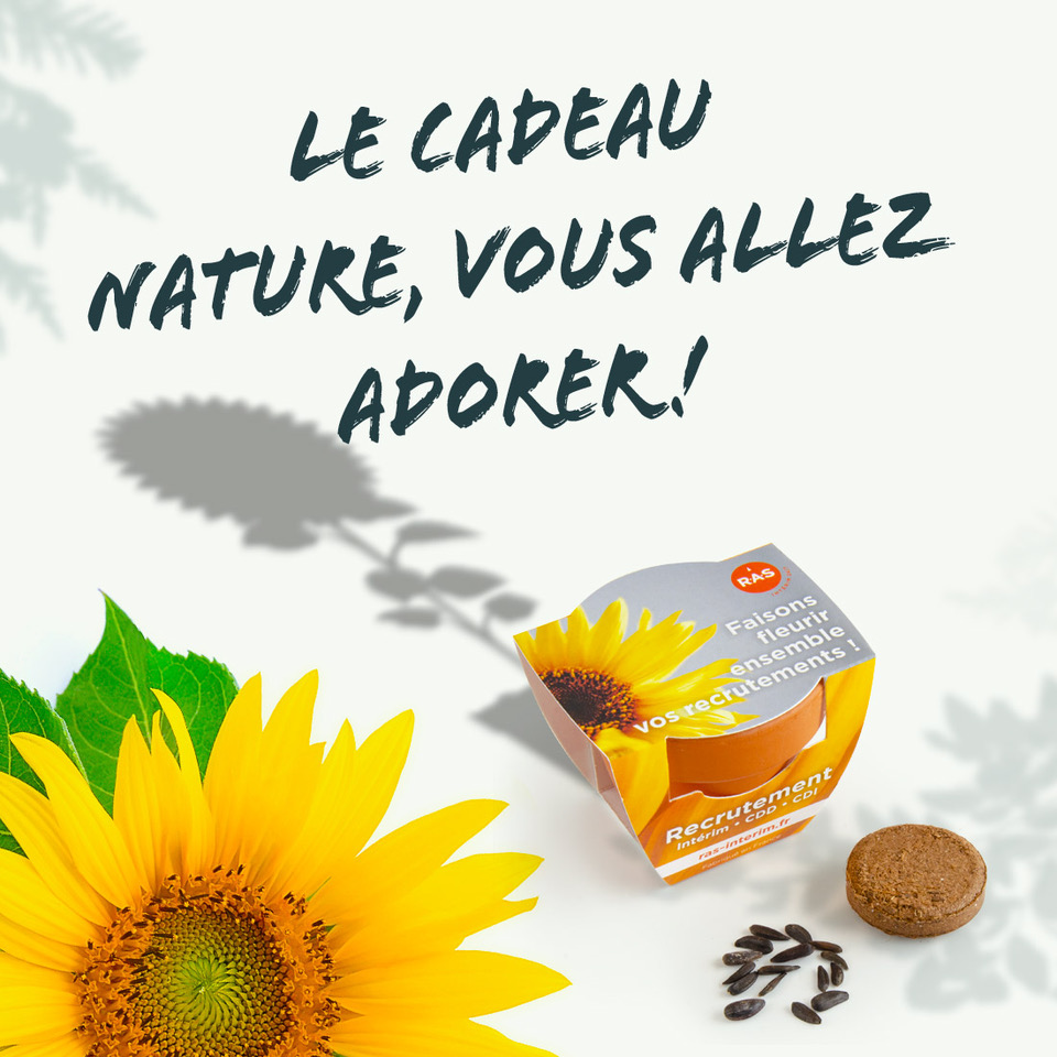 Radis et Capucine tweet media