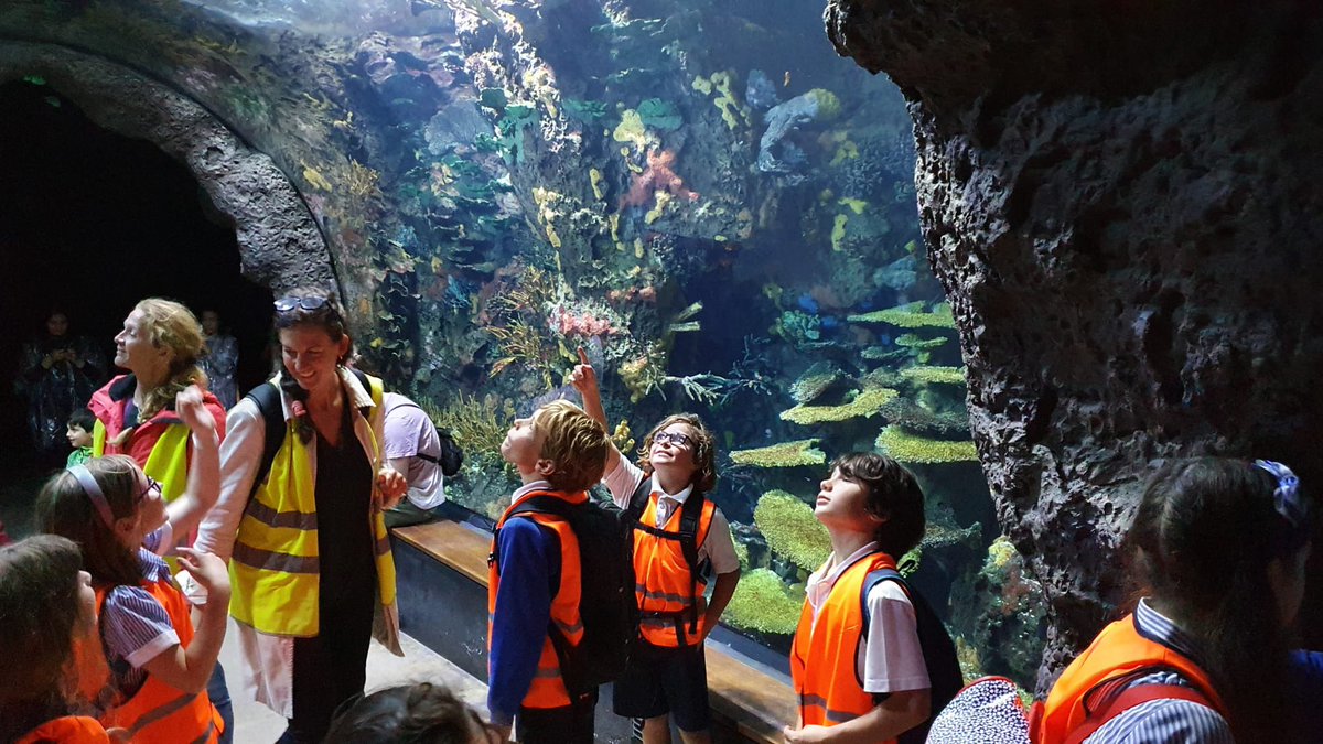 BSNJSV's tweet photo. #JSVYear4 enjoying the oceanarium! π π’ https://t.co/ZkMdVveIGD