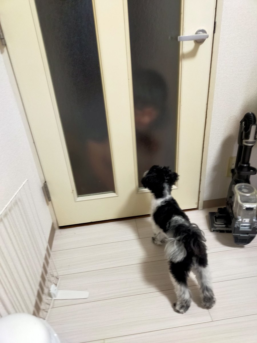 ドア越しになんかやってた