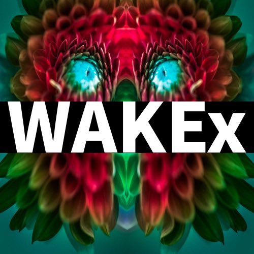 We’re excited to announce the next phase of the xDREAMS roadmap

$WAKEx

It’s a THANK YOU reward for community members who support &amp; HOLD xDREAMS

Weekly Rewards will start at 1,000 $WAKEx per 1 #xDREAMS held

Go to <a href="/WAKEx_XRPL/">WAKEx</a> to set your TL

🔥Like/Retweet/Comment

MORE TO COME