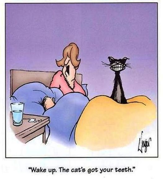 Phil Rickwood tweet media