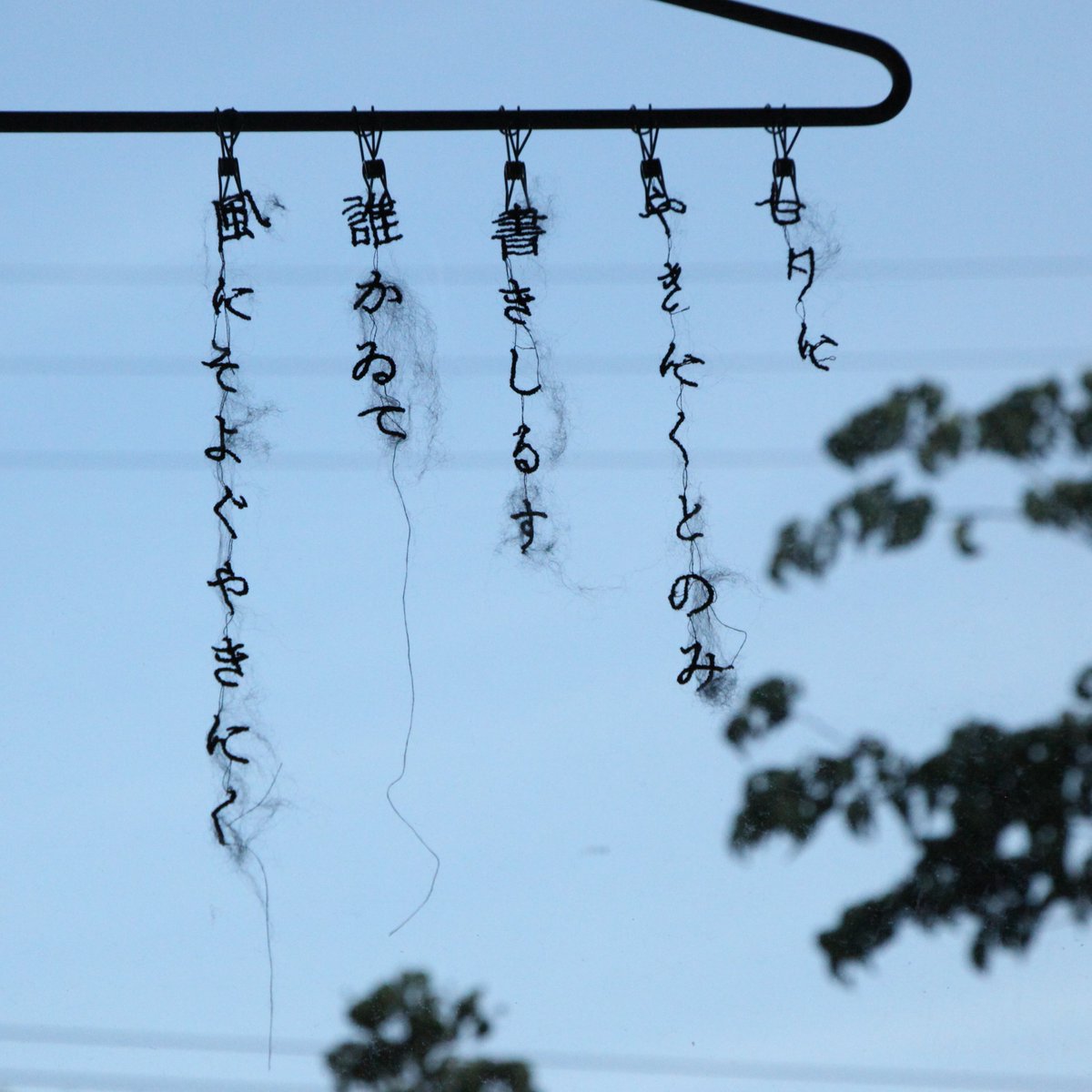 idaayada's tweet photo. こんにちは、無断標本製造所（仮）です🎋

本日の標本は荻原裕幸さんが今日つぶやかれた短歌を。 https://t.co/9uUbdgfenT