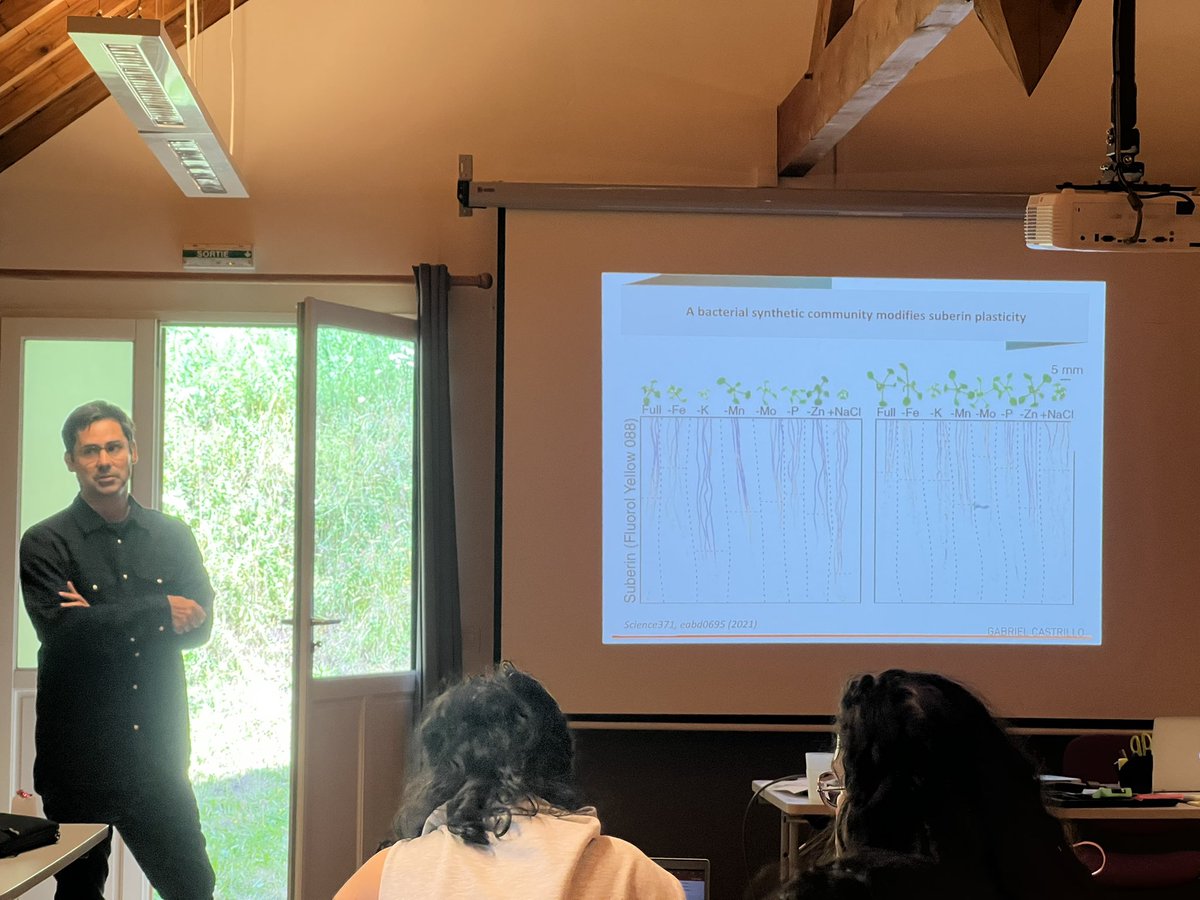 Last presentation of the #TULIPSummerSchool2022 by Gabriel Castrillo presenting the links between microbiota and plant development. 🌱🦠