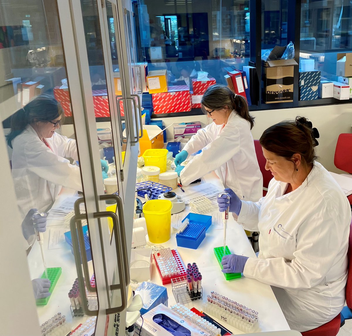 formi_ous's tweet image. Almost done with purification of DNA from 230 MS patients in a project on MS and ageing led by Cecilia S. Simonsen at Drammen sykehus @ceciliasimonsen @toneberge5 @lmp020870 @InaBrorson @CeliusElisabeth @VestreViken