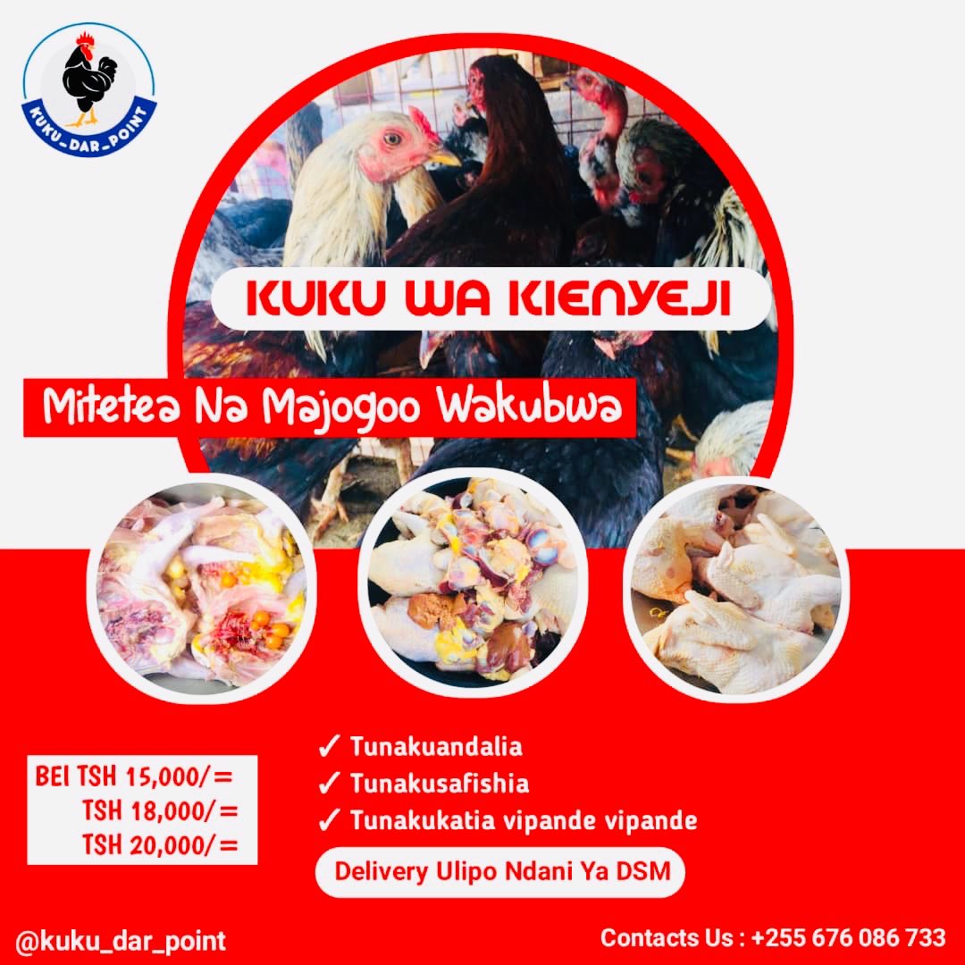 Rodgers__Andrew's tweet photo. 🔥🐓🍗Kuku Kienyeji Bei 15,000 ,18,000 ,20,000

Mitetea Wakubwa Na Majogoo

Unaandaliwa Safi Kabisa Huduma ya Kukatiwa Vipande Vipande 🍗 Unapata Safi Kabisa
☎0676086733 

 Delivery Ulipo Ndani Ya Dar es  Salaam 👍🏾
@kuku_dar_point https://t.co/qhUCYsTwOJ