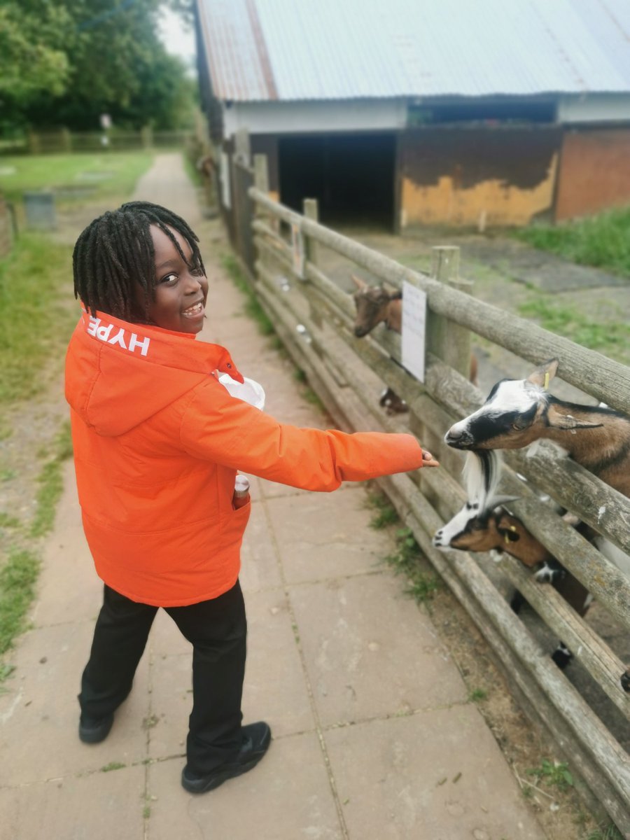 TMET_PrimaryInt's tweet photo. @kestrelmead today as part of Amarjit's magic we went to Gorse hill Farm! Pupil showee great courage and risk taking when feeding the animals.
#risktaking #confidence #primaryintervention https://t.co/OiP4ntF7Dp