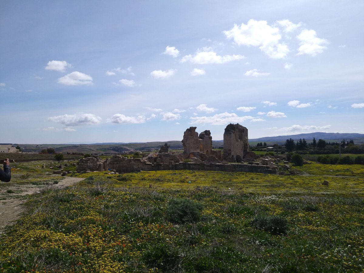 ATLAS_cities's tweet photo. #ThrowbackThursday it is 4 months ago when we visited our new case study #Mactar 🇹🇳 with our colleagues at the #INP #Tunisia
Working on the #archaeology & #epigraphy of the site it is great to have an idea of the lay-out & have (mental) pictures to understand the city.
More soon! https://t.co/z8tTC5Tb7k