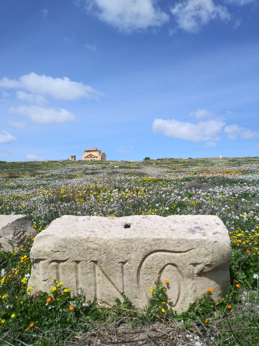 ATLAS_cities's tweet photo. #ThrowbackThursday it is 4 months ago when we visited our new case study #Mactar 🇹🇳 with our colleagues at the #INP #Tunisia
Working on the #archaeology & #epigraphy of the site it is great to have an idea of the lay-out & have (mental) pictures to understand the city.
More soon! https://t.co/z8tTC5Tb7k