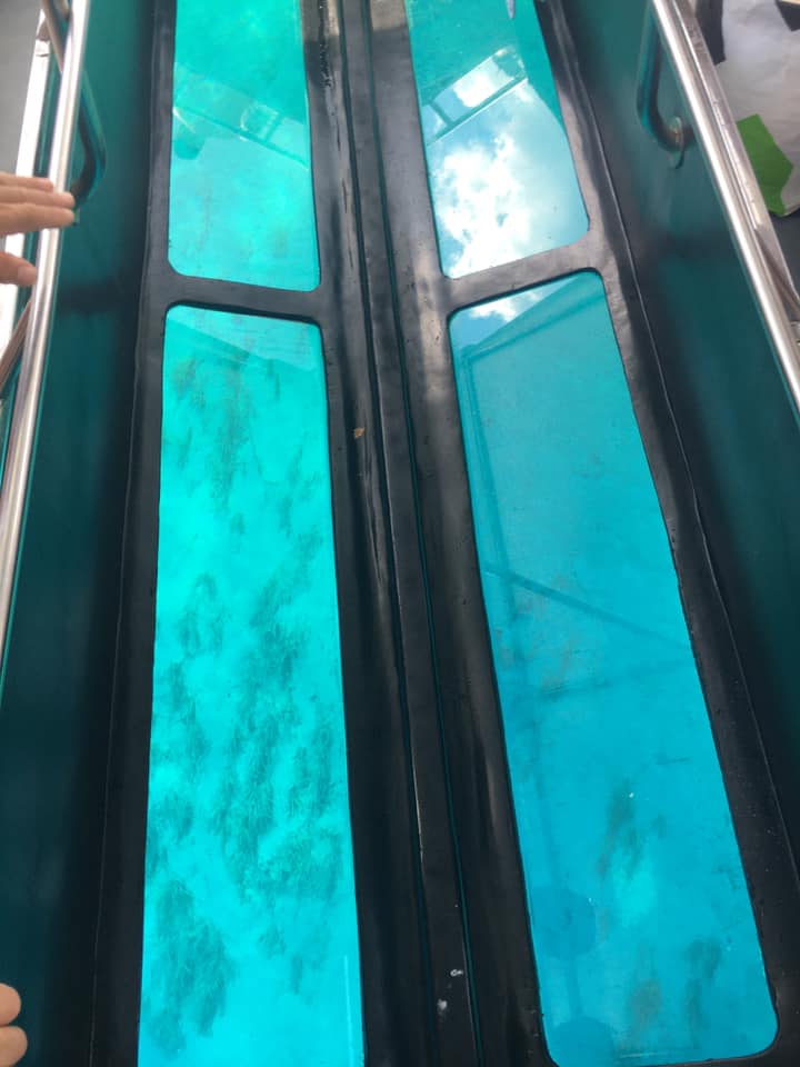 yotomuTour's tweet photo. ⚡️GLASS BOTTOM BOAT⚡️
We have it! Park marine Zakytnhos tour with NAUTILOS 😎 Everyday 0900/1200/1500 - Small Boat - Departure from Agios Sostis Lagans - Best Captain 
#Zakynthos #Zante #zanteisland #welcometozante #italianiazante #yotomu #yotomuexperiences #7July #7Julio https://t.co/6DkwWVcm3S