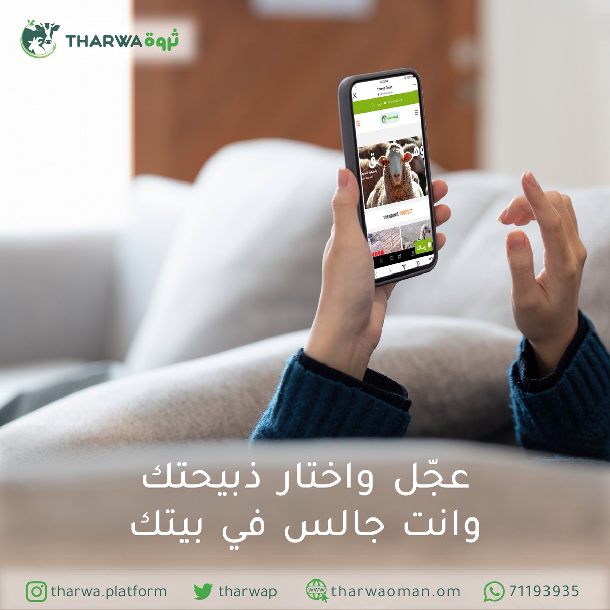 TharwaP's tweet photo. عجل واختار ذبيحتك وانت جالس في بيتك

زر موقعنا للطلب 👇🏻

https://t.co/yiVVWCAwYJ

ويوصلك لباب بيتك🚘🏡

#ثروة #لحوم_طازج�� #مواشي #عيد_الاضحى #منخفض_المونسون https://t.co/Smiz3r8aaV