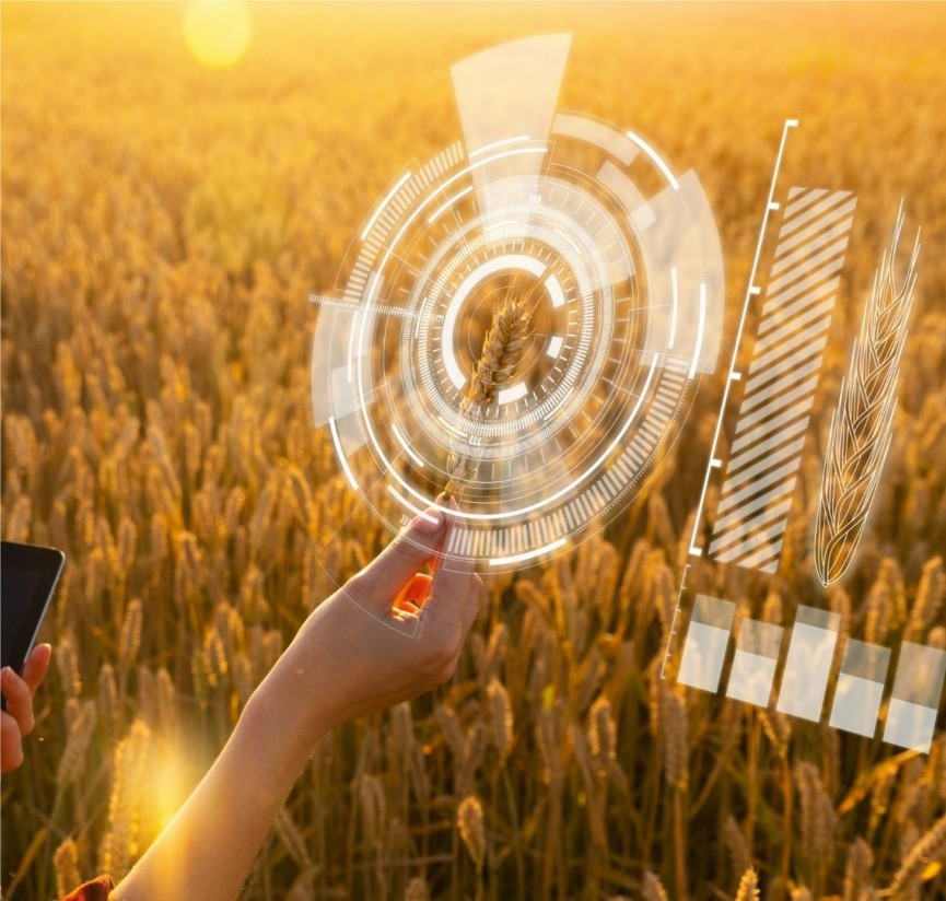 VRural's tweet photo. EMPRESAS 🆕 #Syngenta lanza una campaña de reclutamiento para su #DigitalHub internacional #Techfarm que estará ubicado en #Madrid. 🌾
Más información ⬇️
https://t.co/FVrVda1cIJ
#Agricultura #Fitosanitarios #SanidadVegetal
@Syngenta @SyngentaES https://t.co/UkGSZ05KRy