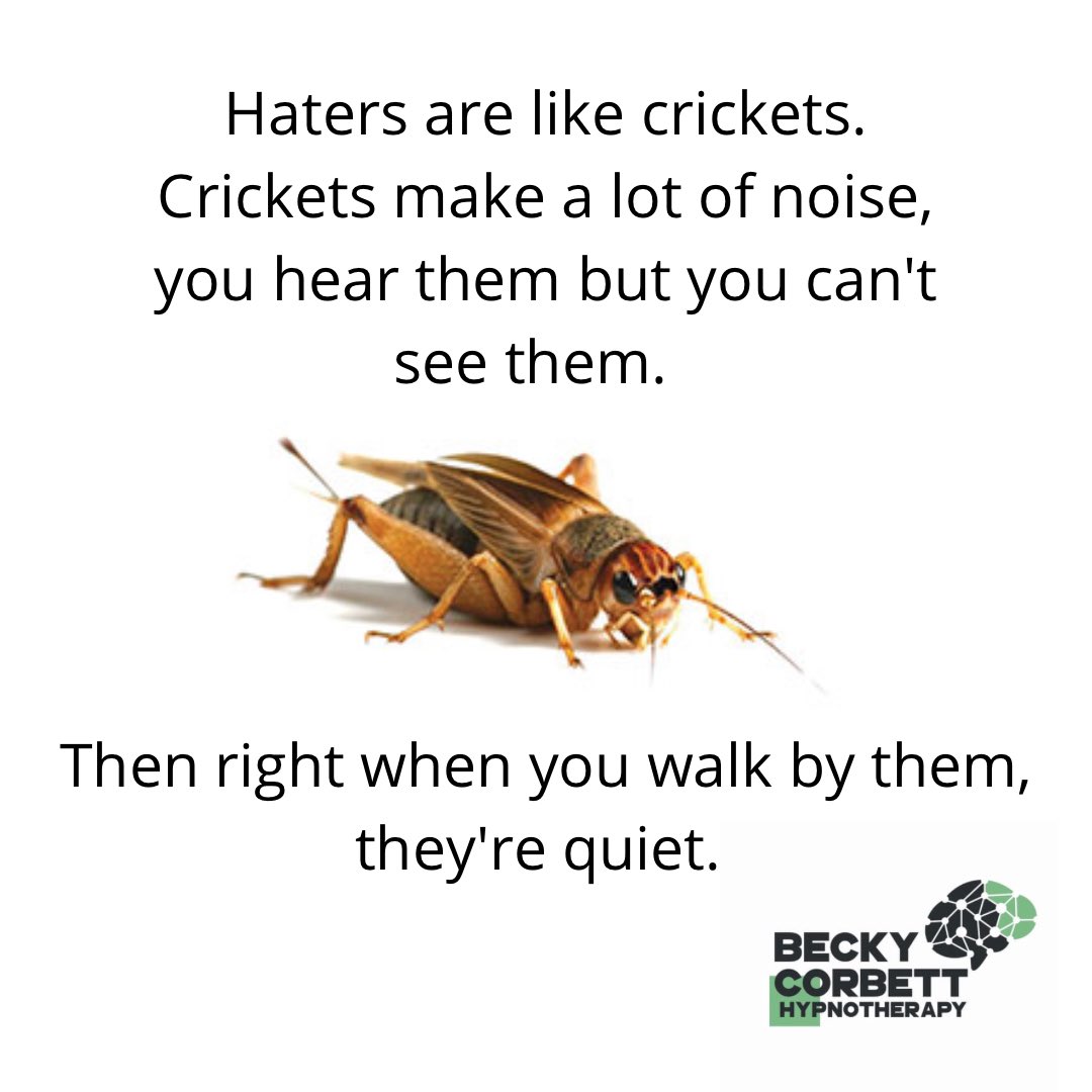 racperspective's tweet photo. As a shunned exjw remember it shows their insecurities and low self esteem, it has everything to do with them and where they are in life not you. Keep shining and being you. #positivemindset #positivethinking #keepyourheadhigh #keepshining #beckycorbetthypnotherapy https://t.co/Aj5ErNmOvx
