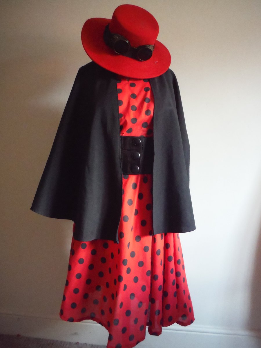 Lady bird from James and the Giant Peach #ladybug #ladybird #james #peach #costume #bespokecostume #admiralcostumes