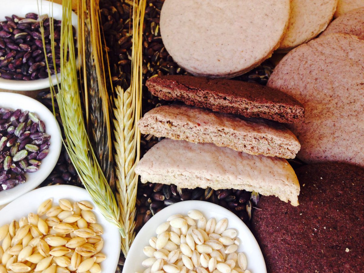 CzemborH's tweet photo. 💚🌾👍🧩
RT: Agrotecnio Research Center @Agrotecnio
#barley #cookies #Food
🌾 L’ordi: #cereal saludable
No et perdis aquest taller on podràs aprendre els tipus, #processats i usos de l’#ordi per a l’#alimentació humana. Amb degustació inclosa! 🫓🍪
Image: ETSEA_UdL and Recerca https://t.co/I9ybGUnqAl