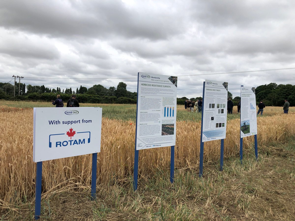 niabgroup's tweet photo. Poppy, burr chervil, wild oats & rotation influence on weed control - just some of the topics covered at today’s Diverse Weeds Open Day at our Hinxton site with @rotam_uk & @niabjohn #weedscience #rotation #culturalcontrol https://t.co/8092jADwEv