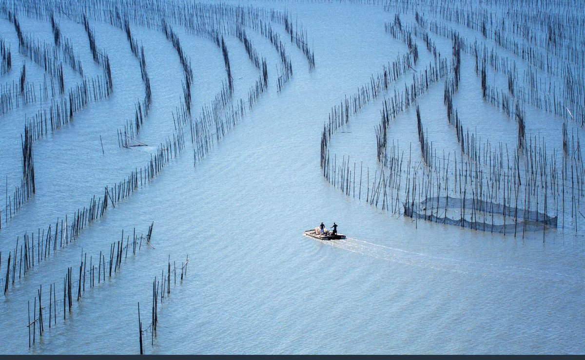 Gm fam, I wish everyone a nice day🥰🥰
let's look blue today and Let's go left out for 6🥰🥰
0.03 eth
opensea.io/assets/ethereu…