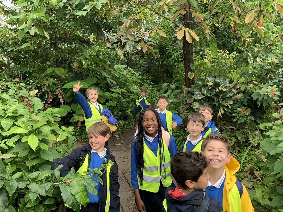 BSNJSV's tweet photo. #JSVYear4 are having a fantastic time at the zoo! π―π https://t.co/XXYaQ2lgPt