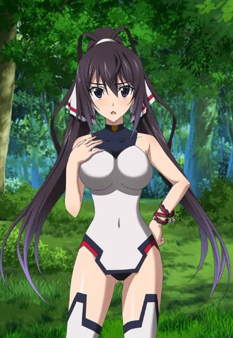 画像まとめ Is インフィニット ストラトス 日付順 アニメレーダー