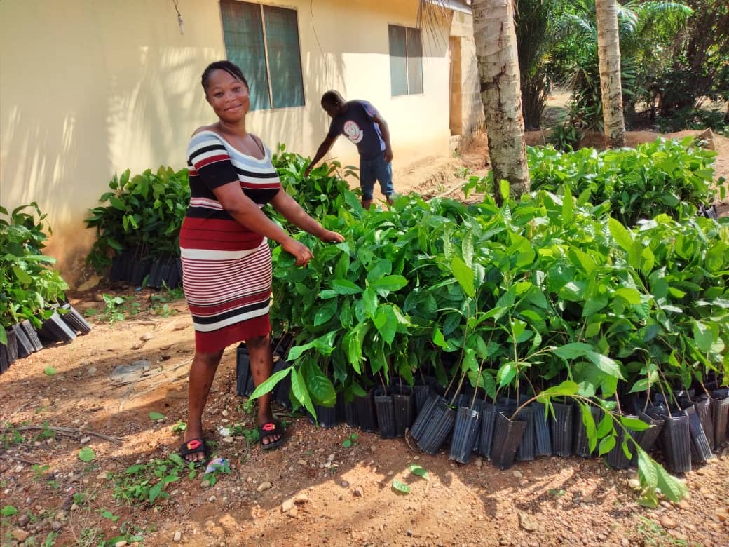 SharedIntFdn's tweet photo. Happy #WorldChocolateDay! By choosing to celebrate with a bar of #Fairtrade chocolate you are supporting cocoa farmers to receive a fairer price for their cocoa, like Grace in Ghana who participated in our #GrowingFairerFutures project🌱🍫 https://t.co/mSTmZklTPv