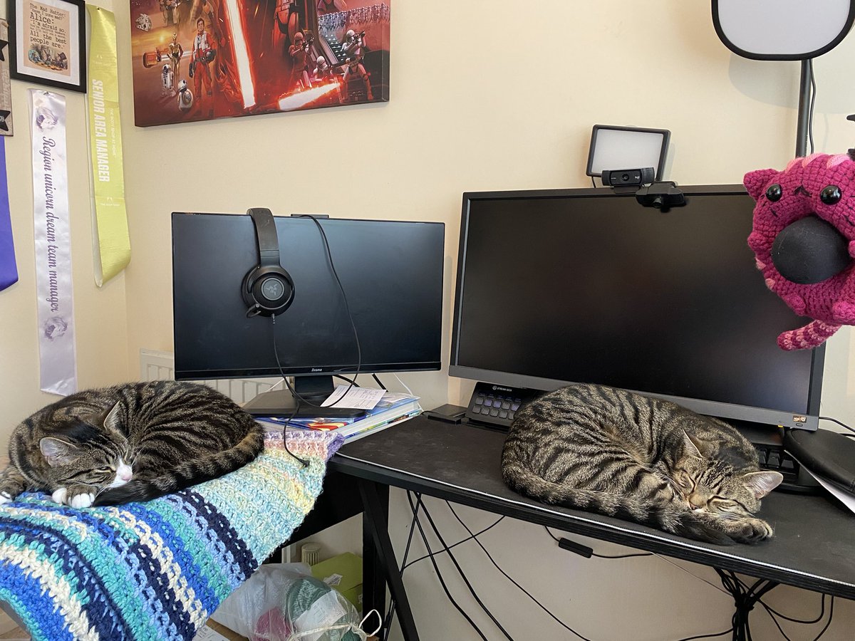 maisy_minx's tweet photo. All three of my cats in one place.
How am I meant to work with this going on?
This much cuteness should be illegal!!
#cats #donutcat #canut? #myboys #cute https://t.co/SgPiYivhAB