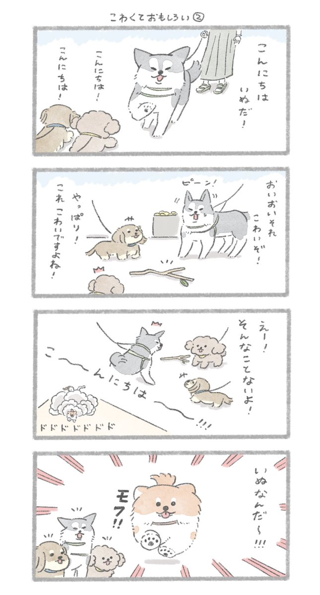 怖がりのダックスさん②
#こんにちはいぬです 