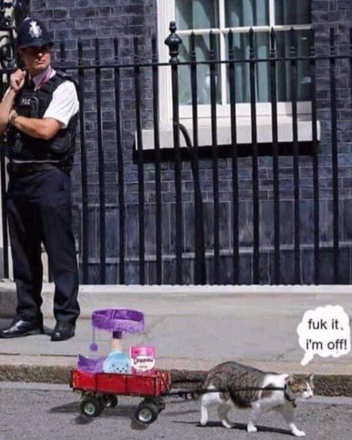 devs1983 tweet media