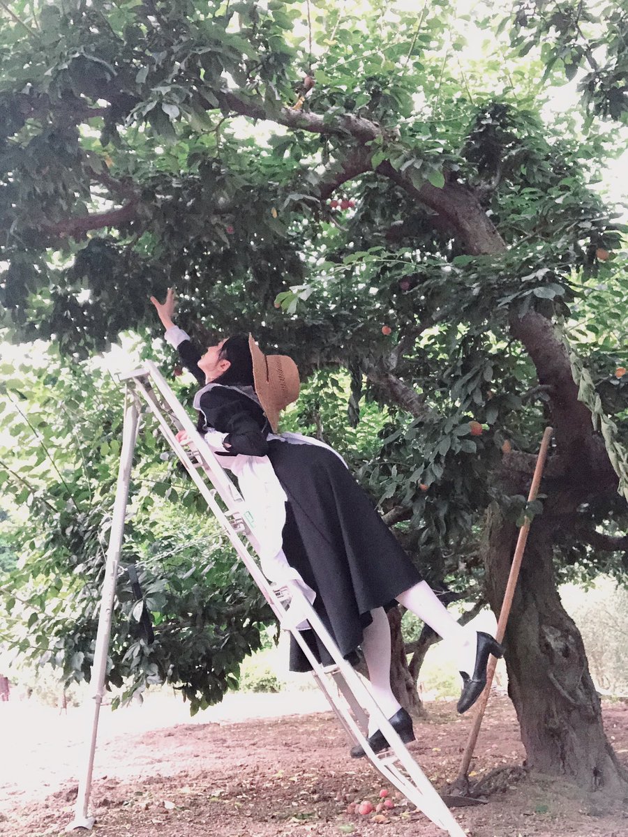 horo0115's tweet image. (メイドがやってる？農園も宜しくお願いします)