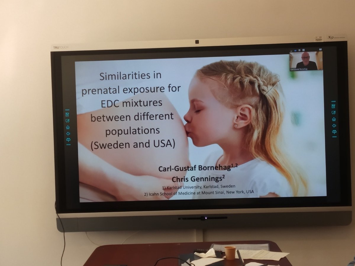 Professor Carl-Gustaf Bornehag from Karlstad and @IcahnMountSinai on endocrine disrupting mixtures SELMA cohort @edcmet_eu @EurionCluster @EDCFree #endocrinedisruptors #selmacohort