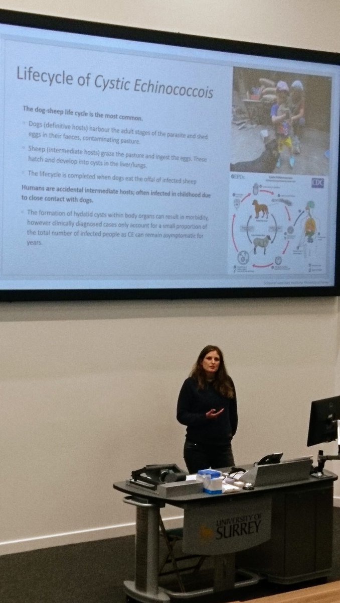 Prada Modelling Lab tweet media