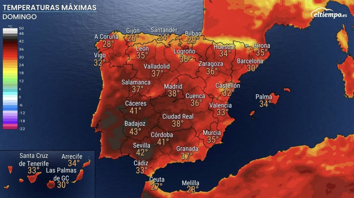 Mar Gómez tweet media