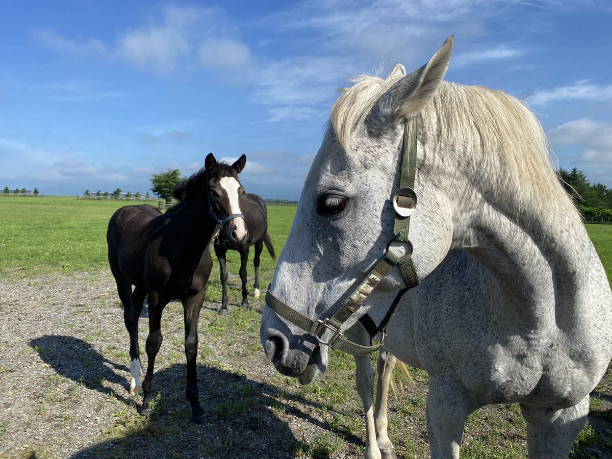 リリアンフェルス一家のポジションおもしすぎる(笑)
PTAの中心にいるママさんにうまくとりいった母娘って感じかなw