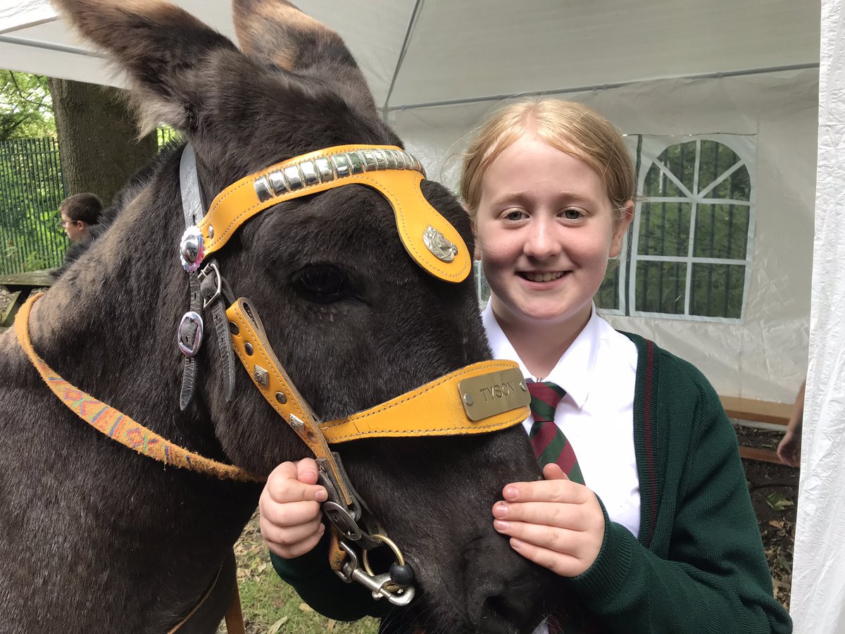 AcornChaplain's tweet photo. Oh yes…. @Year5Bedford  …. did someone mention… there were… DONKEYS????? ….I *think* there might have been…. 🤔🤣 https://t.co/YmZnoYQVoj