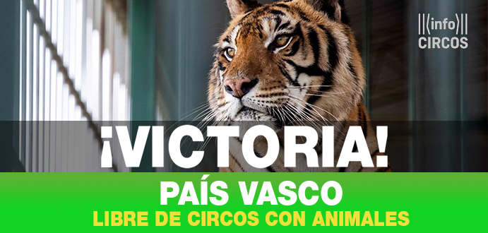 VICTORIA ¡País Vasco libre de circos con animales!🥳
Ya son 12 Comunidades Autónomas (de 17) las que no permiten animales salvajes en los circos mostrando a las claras que la ciudadanía en España está en contra de esta práctica anacrónica y sin valor educativo
#CircosSinAnimales