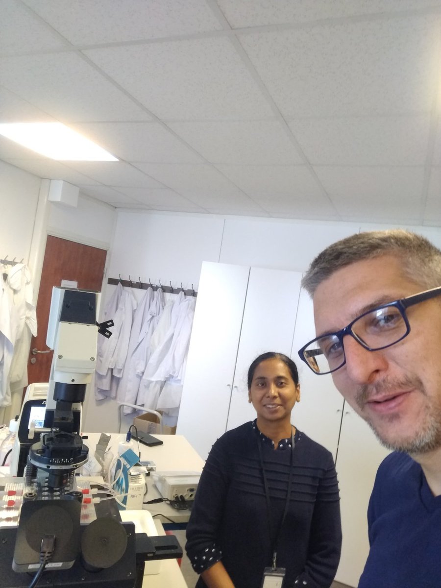 Cistem Project (@cistem_project) on Twitter photo Dr. Vasa Radonic from <a href="/BioSenseRS/">BioSense Institute</a> is working together with researchers from <a href="/CherryBiotech/">Cherry Biotech</a> on the development and testing of a TEER measurement system for multi-well chambers to enable monitoring of the long-term culture of human tissues & biopsies. Keep up the good work! #H2020 Dr. Vasa Radonic from <a href="/BioSenseRS/">BioSense Institute</a> is working together with researchers from <a href="/CherryBiotech/">Cherry Biotech</a> on the development and testing of a TEER measurement system for multi-well chambers to enable monitoring of the long-term culture of human tissues & biopsies. Keep up the good work! #H2020