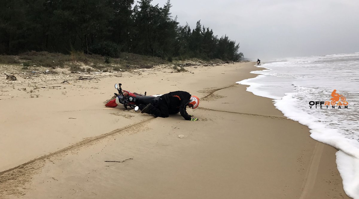 vietnamriders1's tweet photo. If you're looking for your next scooter adventure, how about this Vietnamese road along the coast? 😁
💻 https://t.co/n0WcQiTZDP
#beachroute #coastalride #scootervoyage #vietnam #motorbike #motorcycle #tour #rental #honda #XR250 #XR150L #CRF150L #CRF250L #dualenduro https://t.co/v78eoA0bNT
