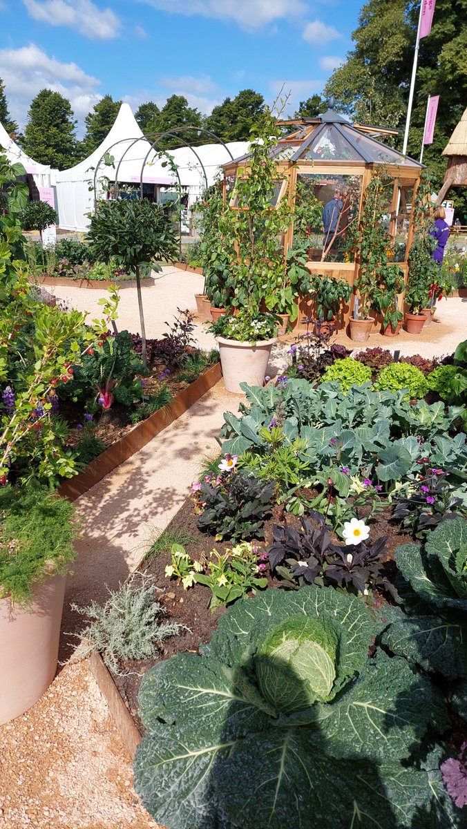 HughFW's tweet photo. The River Cottage garden looking great @The_RHS Hampton Court. I hope to see lots of you there this afternoon and tomorrow. #RHS #RHSHamptonCourt https://t.co/6IrtbXe2tL