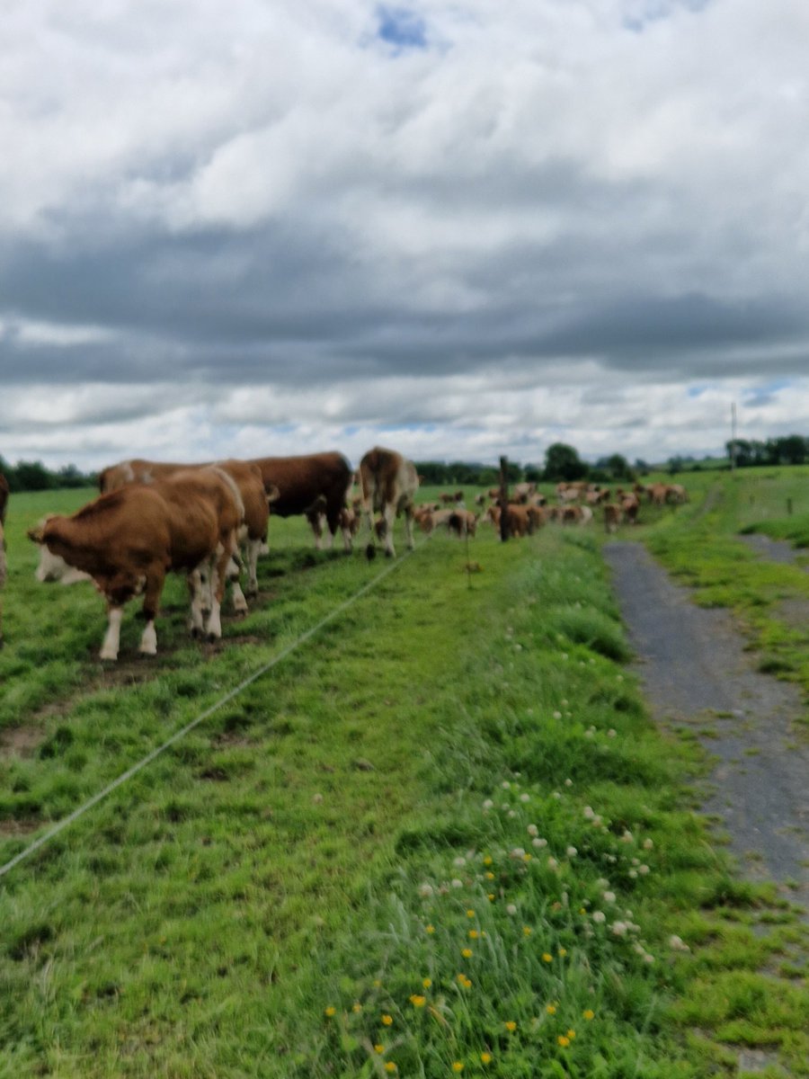 Jem Probert tweet media