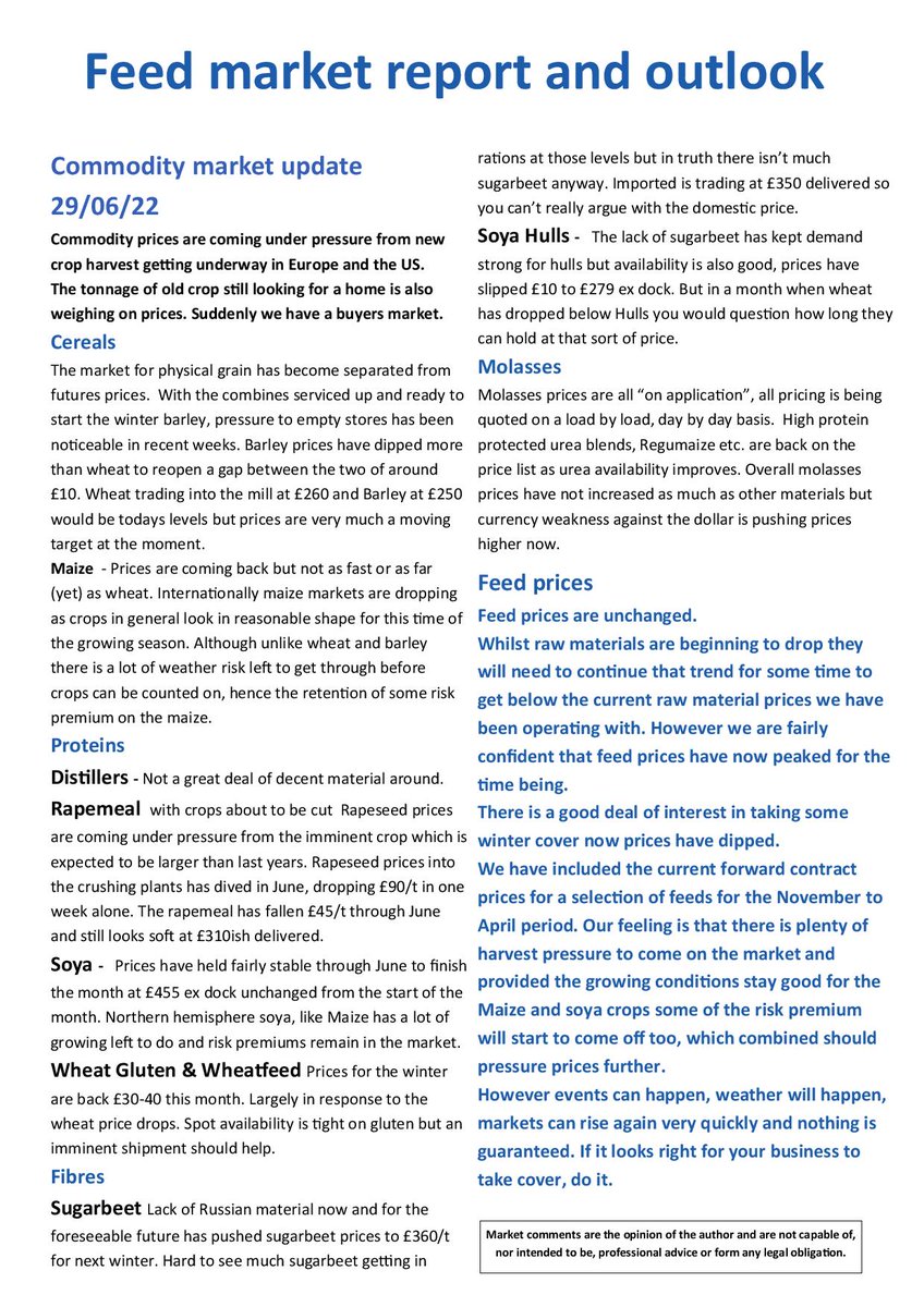 tamarmilling's tweet image. July Newsletter 🐄