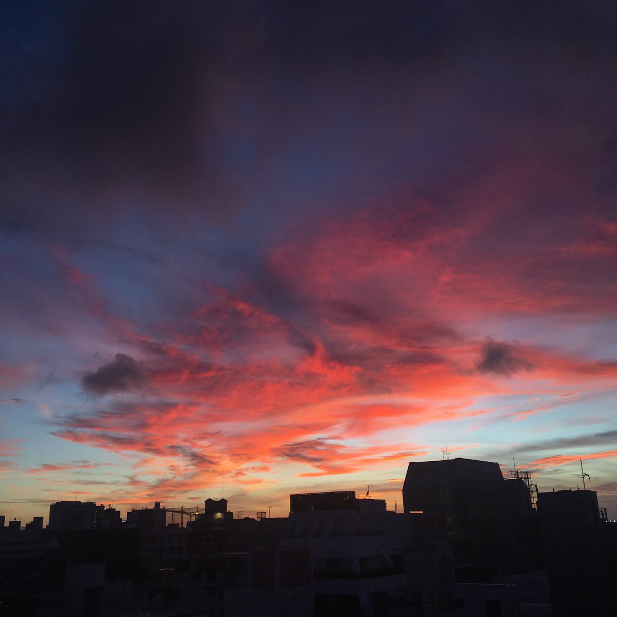 tomonariweb3's tweet photo. 今日の空が綺麗すぎる件。
(フィルターなし)
#夜景 #夕焼 https://t.co/rWpBQOiqAi