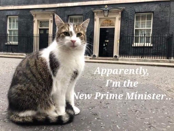 ElizabethRadcl5's tweet image. 