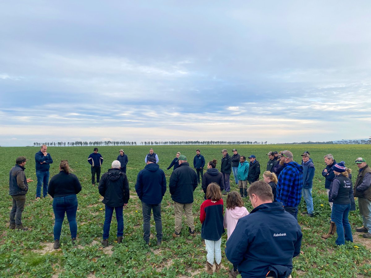 Kickstarting the first of 2 <a href="/Stirlings2Coast/">Stirlings to Coast Farmers</a> Post Seeding Field Walk &amp; Community BBQ’s this month with a quick drop in to <a href="/curwenr/">Reece Curwen</a> to chat about grazing October down Hyola970 with <a href="/PacificSeeds/">Pacific Seeds</a>