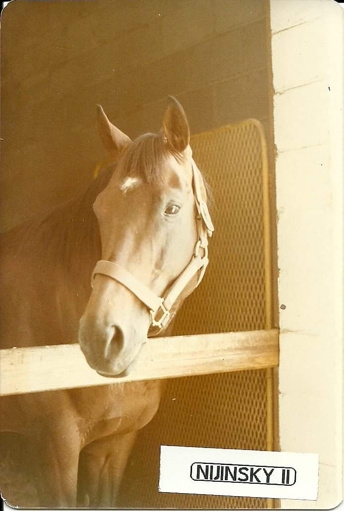 HORSERACING1002's tweet photo. NIJINSKY II (NORTHERN DANCER) #NijinskyII The Last English triple crown. 1970. Stood at @claibornefarm https://t.co/qbuGXjU6oZ