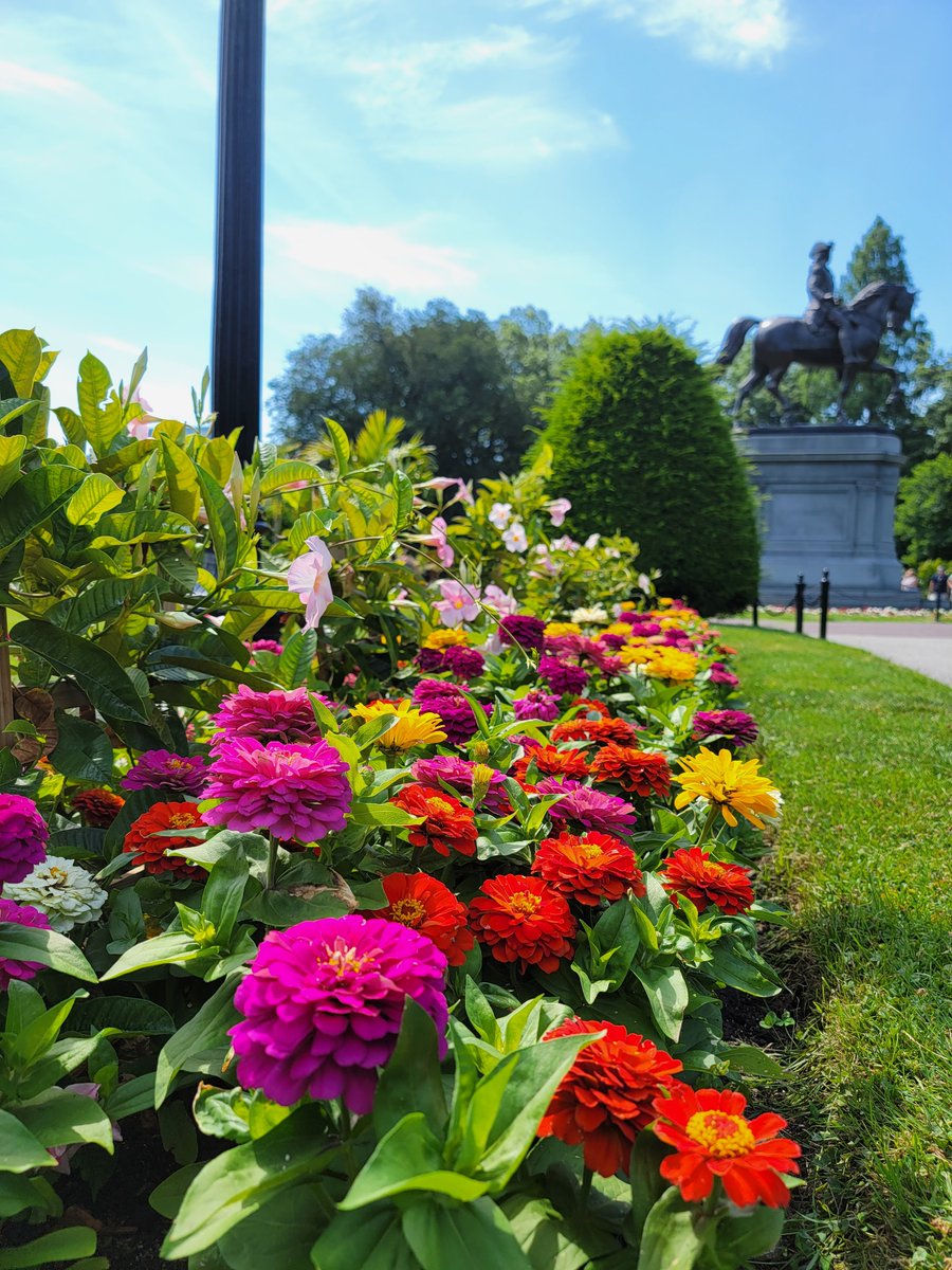 July on the Public Garden.

❤