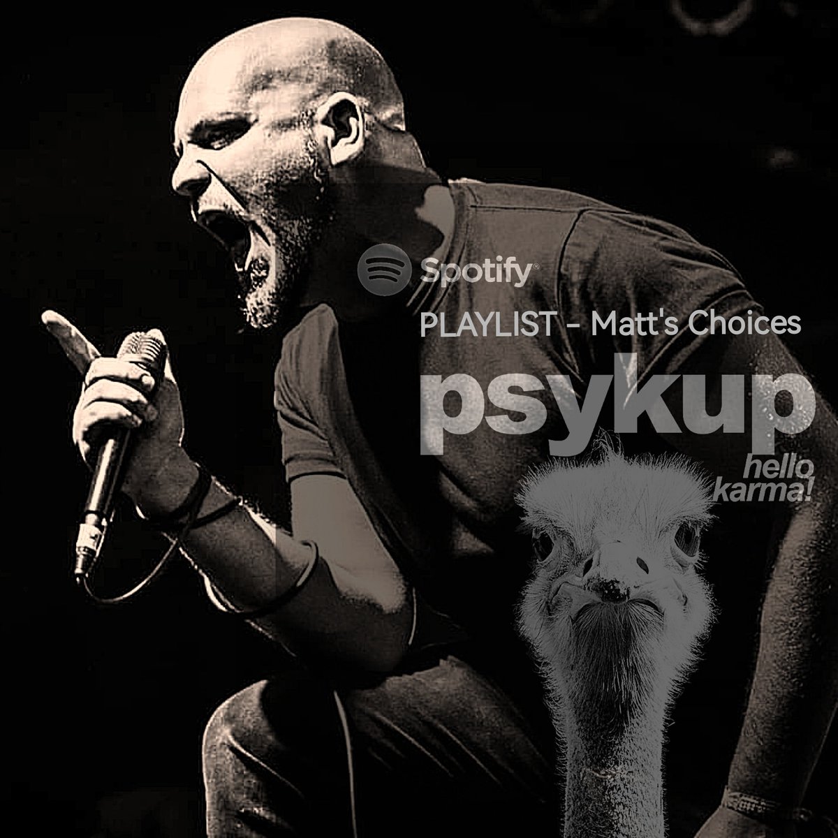 Nouvelle #playlist #spotify feat #slipknot #deftones #ruelle #feverray et bien plus !

open.spotify.com/artist/0gPevmj…