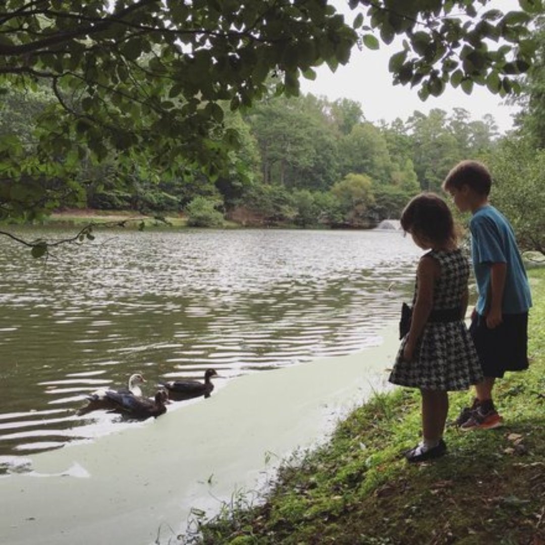 Visit Athens GA (@visitathensga) on Twitter photo Friday is the Secret Creek Adventure at Memorial Park. Be sure to sign up through the link below. Ages 6+! #memorialpark #summerfun #kidsinathensga #creek #outdoors #athensga #visitathensga
visitathensga.com/event/secret-c…
📷 <a href="/raetemp/">Rachel Temples</a> Friday is the Secret Creek Adventure at Memorial Park. Be sure to sign up through the link below. Ages 6+! #memorialpark #summerfun #kidsinathensga #creek #outdoors #athensga #visitathensga
visitathensga.com/event/secret-c…
📷 <a href="/raetemp/">Rachel Temples</a>